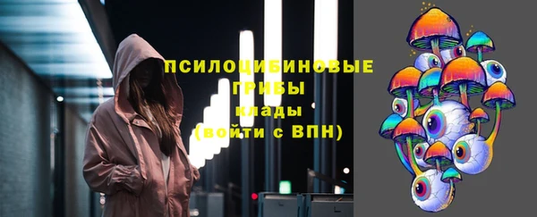 соль ск Лагань
