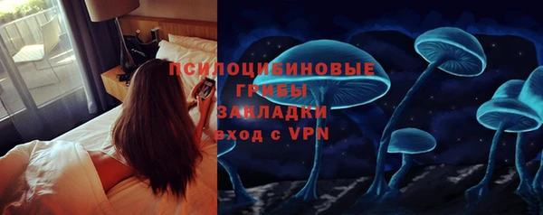 гидра Березники
