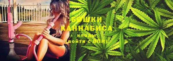 соль ск Лагань