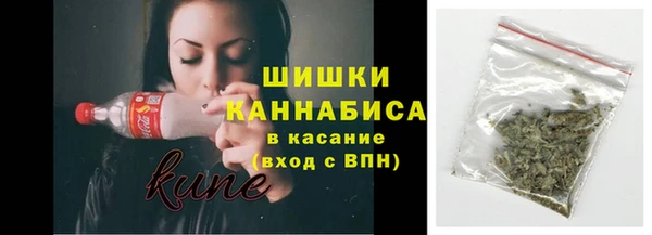 соль ск Лабытнанги