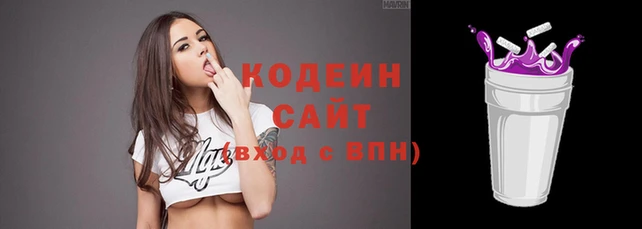 шишки Ладушкин