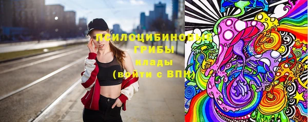 шишки Ладушкин