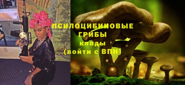 соль ск Лагань