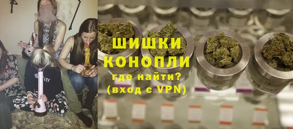 индика Лиски